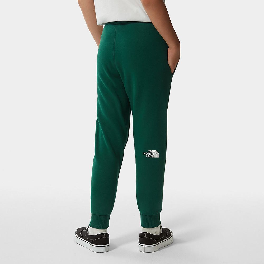 Leginy The North Face Fleece Dievcenske Zelene Biele | LVY-014576