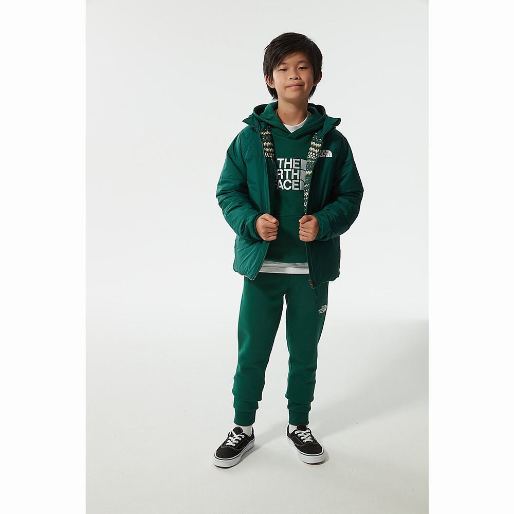 Leginy The North Face Fleece Dievcenske Zelene Biele | LVY-014576