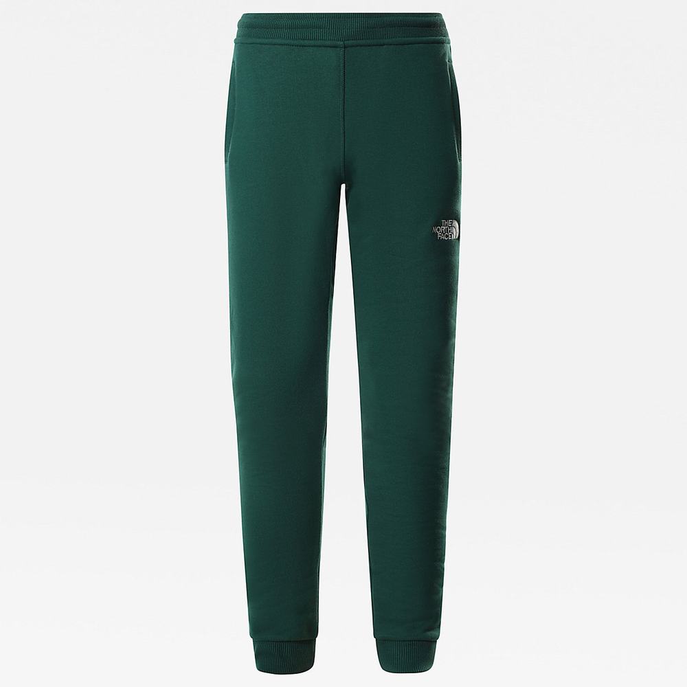 Leginy The North Face Fleece Dievcenske Zelene Biele | LVY-014576