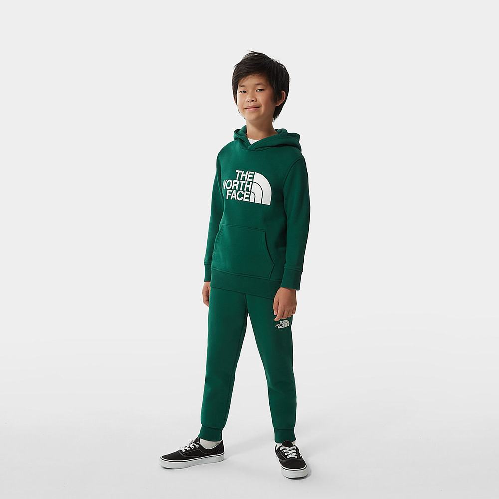 Leginy The North Face Fleece Dievcenske Zelene Biele | LVY-014576