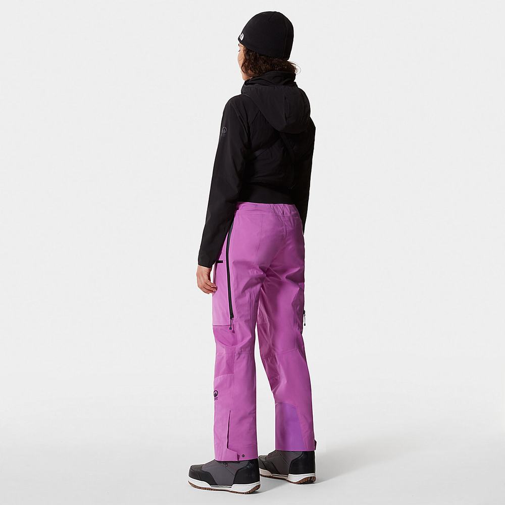 Lyžiarske Nohavice The North Face Freethinker FUTURELIGHT™ Damske Nachový | YRL-608317