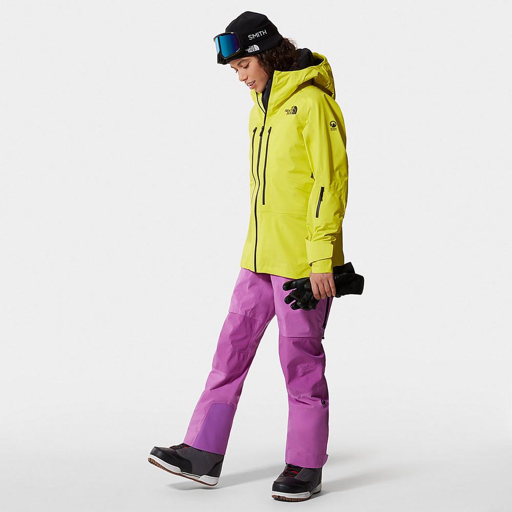 Lyžiarske Nohavice The North Face Freethinker FUTURELIGHT™ Damske Nachový | YRL-608317