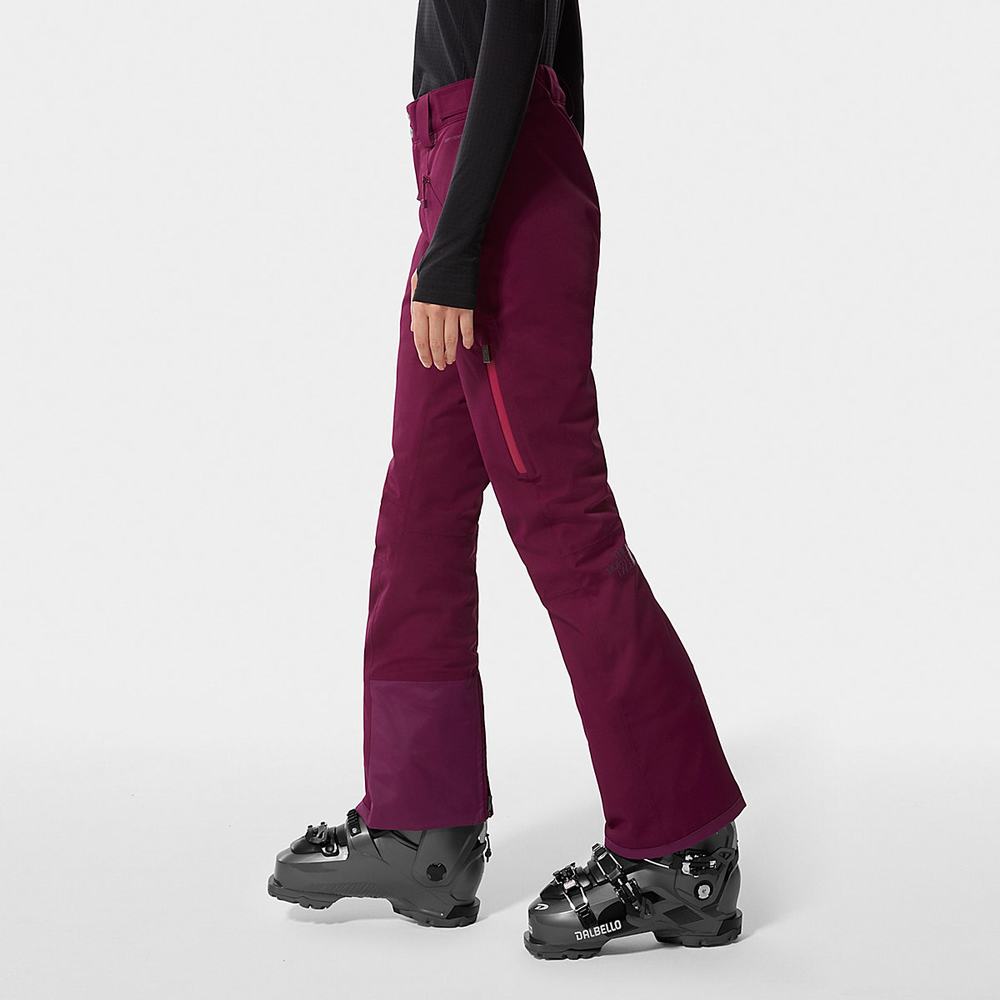 Lyžiarske Nohavice The North Face Lenado Damske Nachový | SER-312869