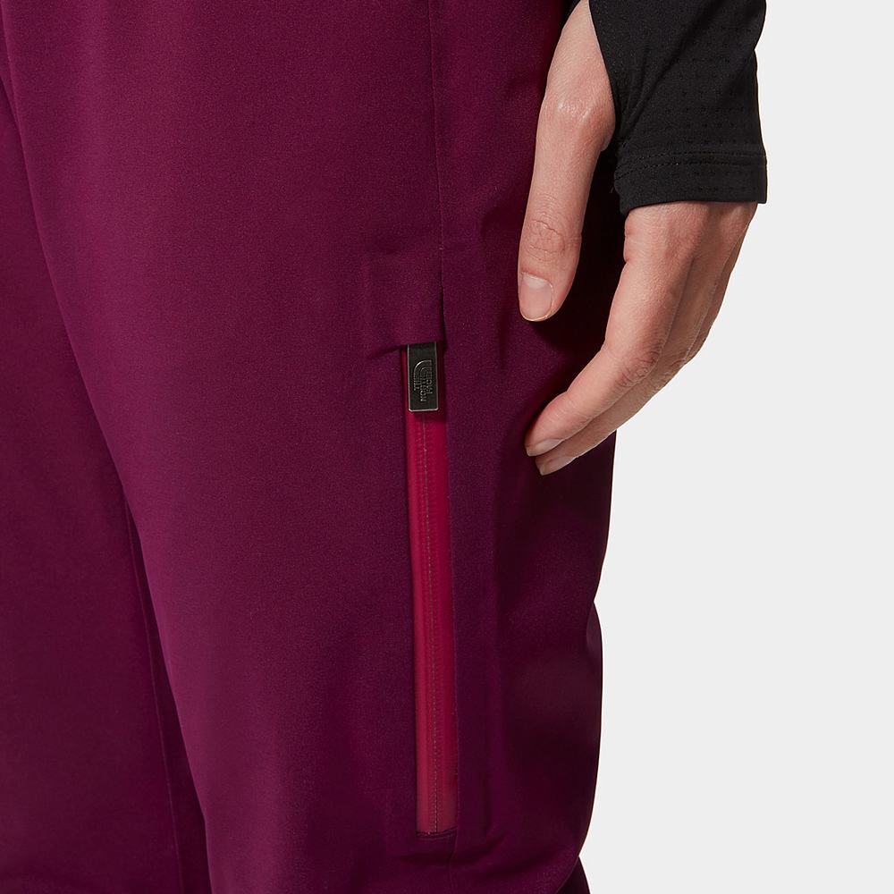 Lyžiarske Nohavice The North Face Lenado Damske Nachový | SER-312869