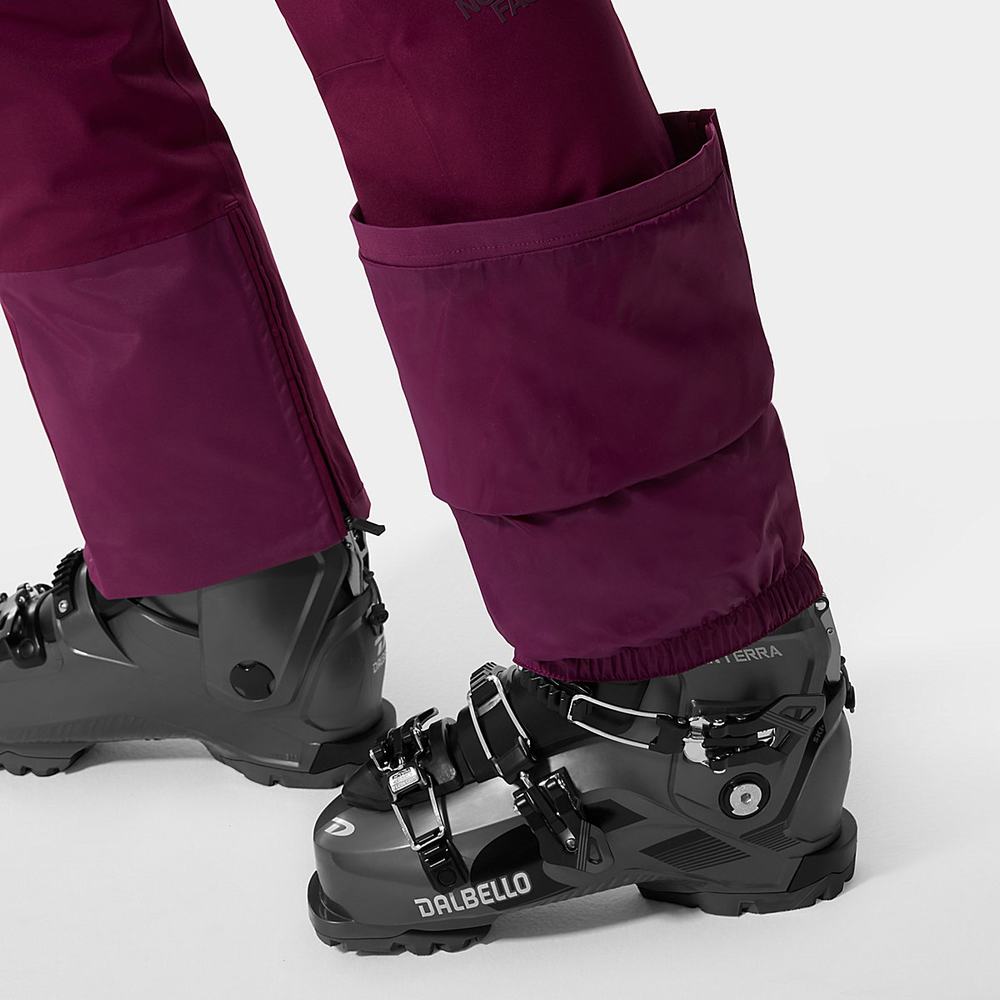 Lyžiarske Nohavice The North Face Lenado Damske Nachový | SER-312869