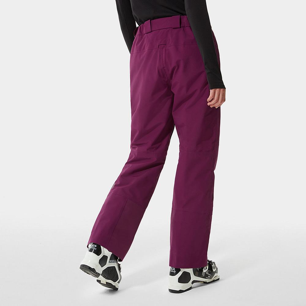 Lyžiarske Nohavice The North Face Lostrail FUTURELIGHT™ Damske Nachový | SUP-029487