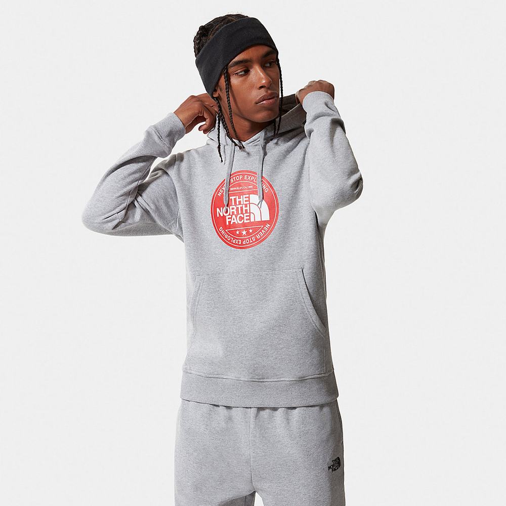 Mikiny S Kapucňou The North Face Circle Dome Panske Svetlo Siva | IOB-359862