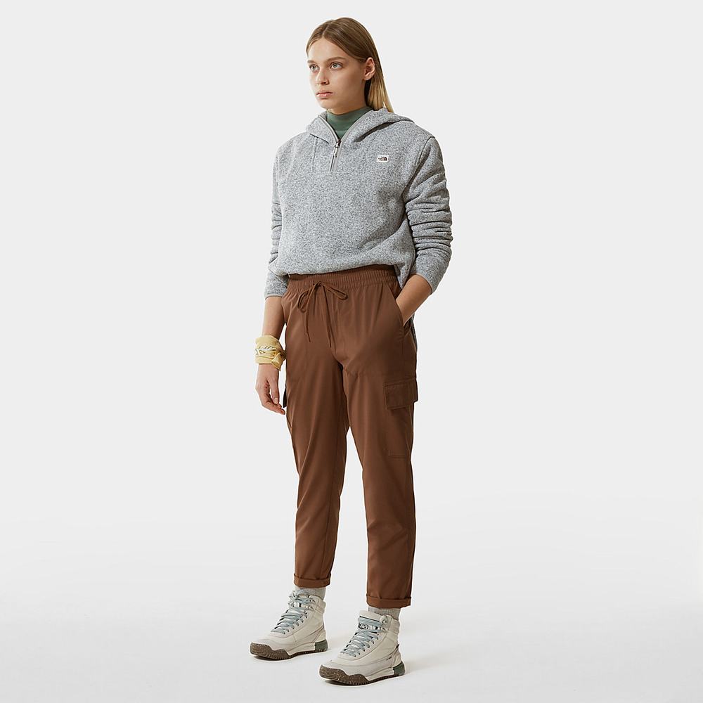 Mikiny S Kapucňou The North Face Crescent Damske Svetlo Siva | YVU-259381
