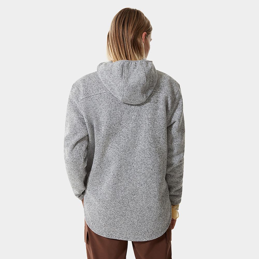 Mikiny S Kapucňou The North Face Crescent Damske Svetlo Siva | YVU-259381