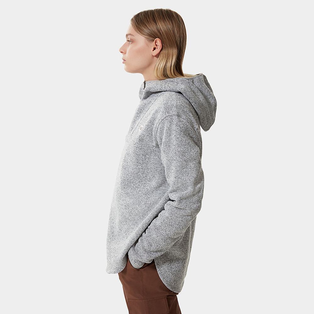Mikiny S Kapucňou The North Face Crescent Damske Svetlo Siva | YVU-259381