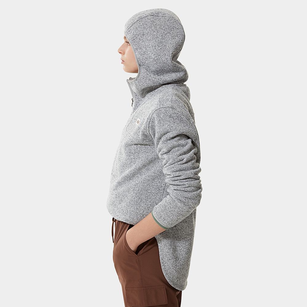 Mikiny S Kapucňou The North Face Crescent Damske Svetlo Siva | YVU-259381