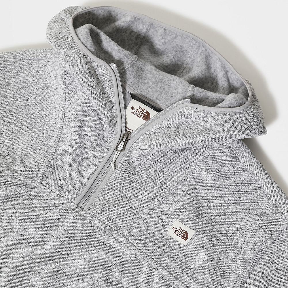 Mikiny S Kapucňou The North Face Crescent Damske Svetlo Siva | YVU-259381
