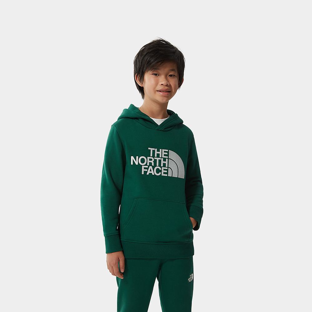 Mikiny S Kapucňou The North Face DREW PEAK Dievcenske Zelene | MUL-546329