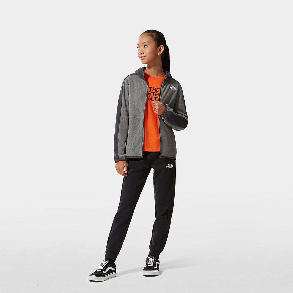 Mikiny S Kapucňou The North Face Glacier Full-Zip Fleece Chlapcenske Siva | FXN-720589