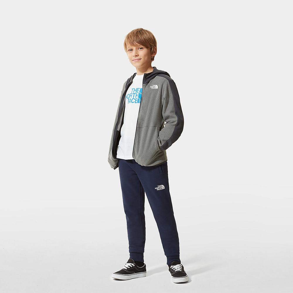 Mikiny S Kapucňou The North Face Glacier Full-Zip Fleece Dievcenske Siva | LNI-813679