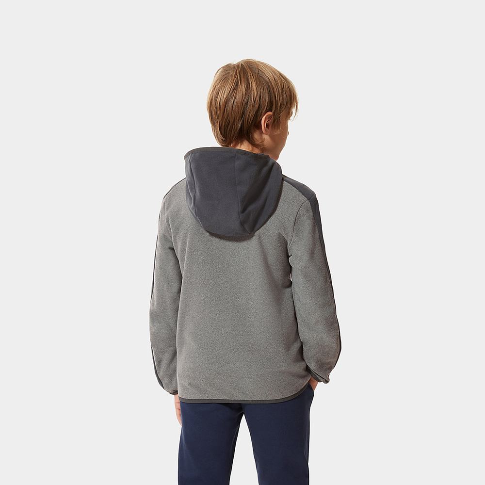 Mikiny S Kapucňou The North Face Glacier Full-Zip Fleece Dievcenske Siva | LNI-813679