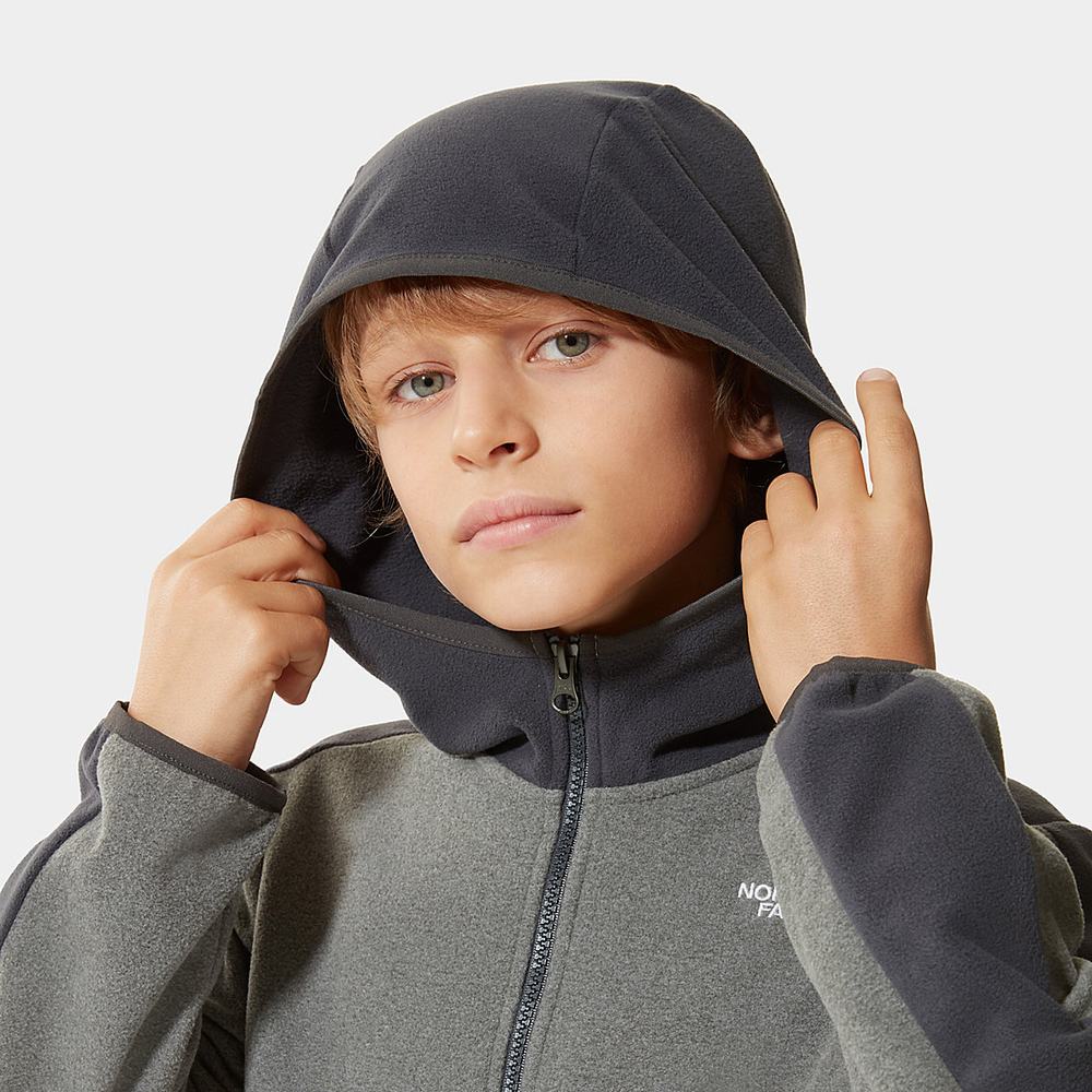 Mikiny S Kapucňou The North Face Glacier Full-Zip Fleece Dievcenske Siva | LNI-813679