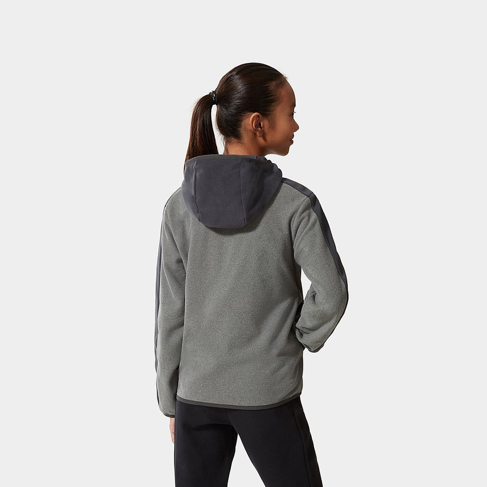 Mikiny S Kapucňou The North Face Glacier Full-Zip Fleece Dievcenske Siva | LNI-813679