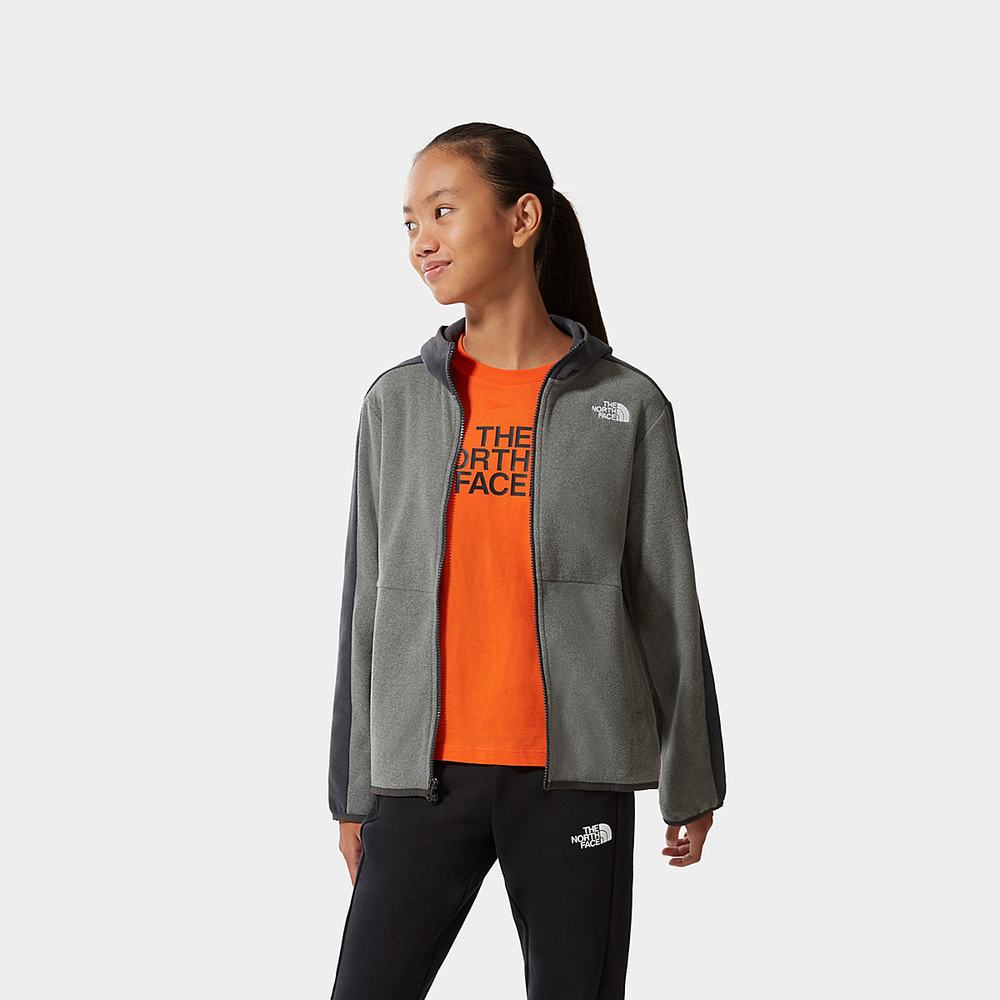 Mikiny S Kapucňou The North Face Glacier Full-Zip Fleece Dievcenske Siva | LNI-813679