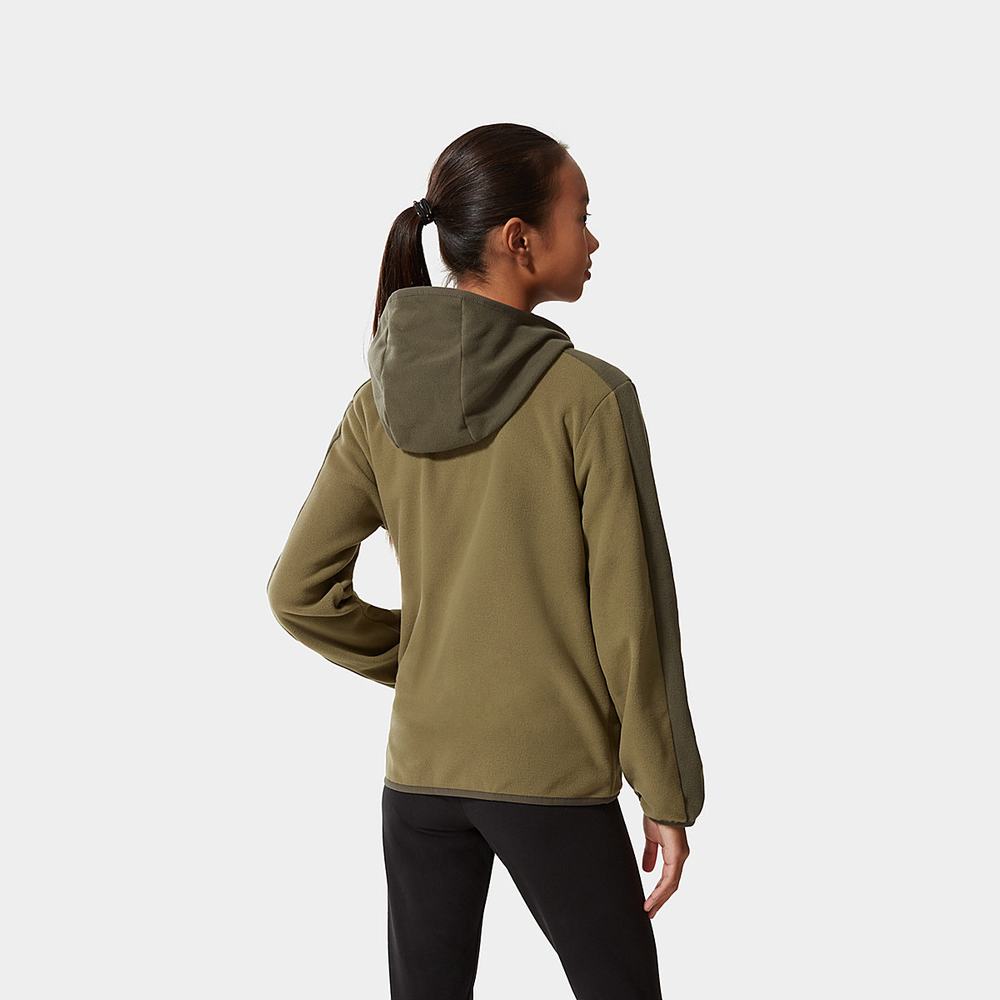 Mikiny S Kapucňou The North Face Glacier Full-Zip Fleece Chlapcenske Olivovo Zelená Zelene | WQA-530184