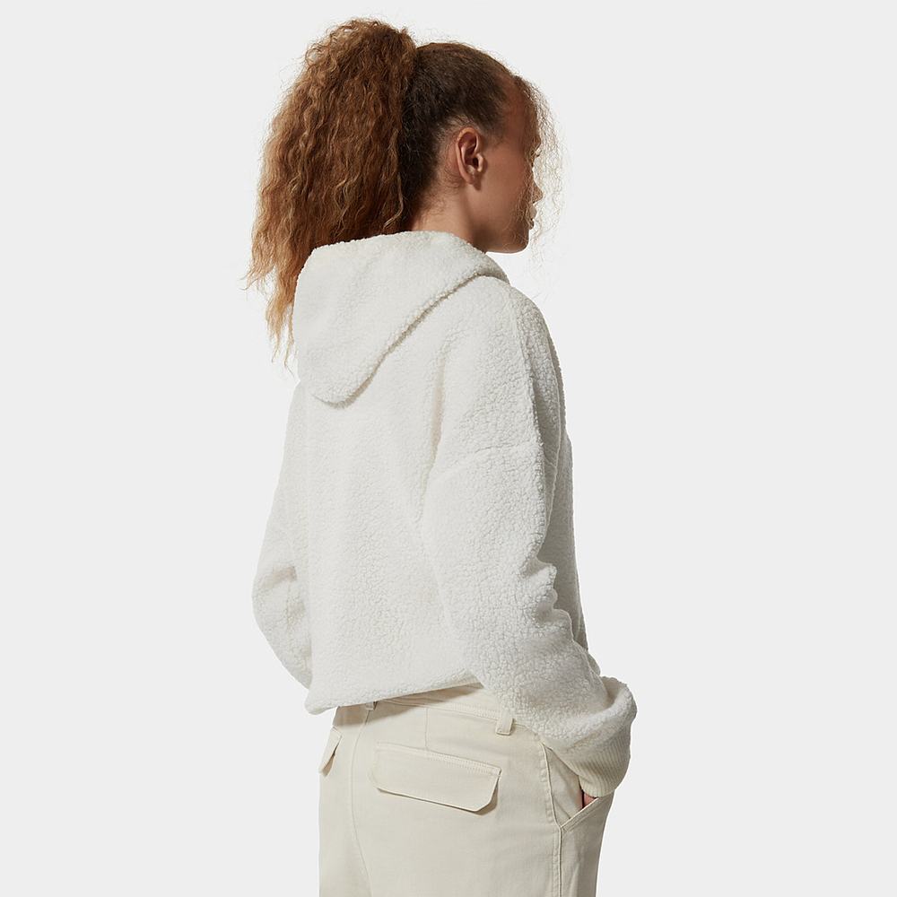 Mikiny S Kapucňou The North Face HARRISON WOOL Damske Biele | IAK-514378