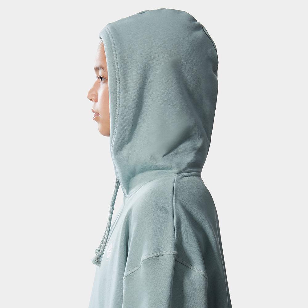 Mikiny S Kapucňou The North Face Himalayan Bottle Source Damske Strieborne Modre | XJH-319652