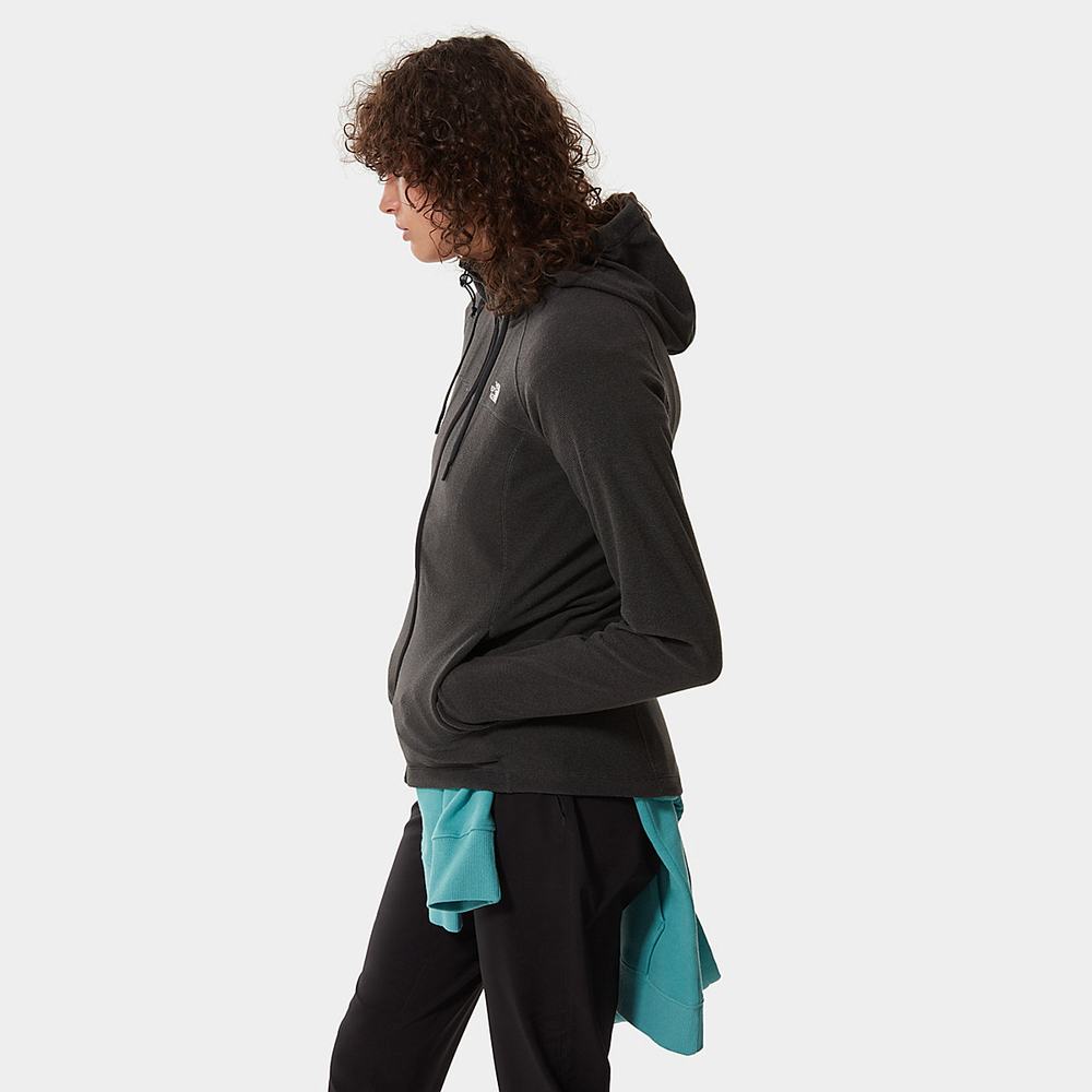 Mikiny S Kapucňou The North Face Homesafe Full-Zip Fleece Damske Čierne | YFX-087692