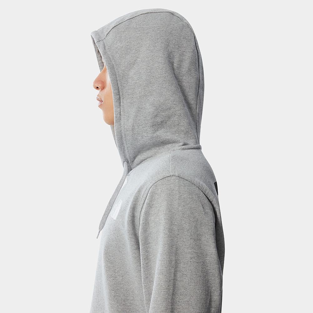 Mikiny S Kapucňou The North Face INTERNATIONAL COLLECTION CLASSIC Panske Svetlo Siva | ACL-364197