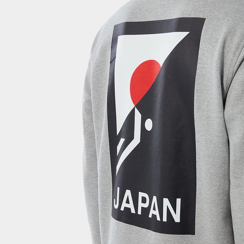 Mikiny S Kapucňou The North Face INTERNATIONAL COLLECTION CLASSIC Panske Svetlo Siva | ACL-364197