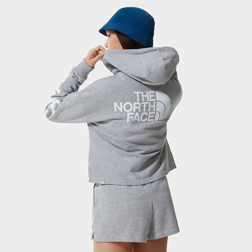 Mikiny S Kapucňou The North Face INTERNATIONAL COLLECTION Damske Svetlo Siva | IEV-049267