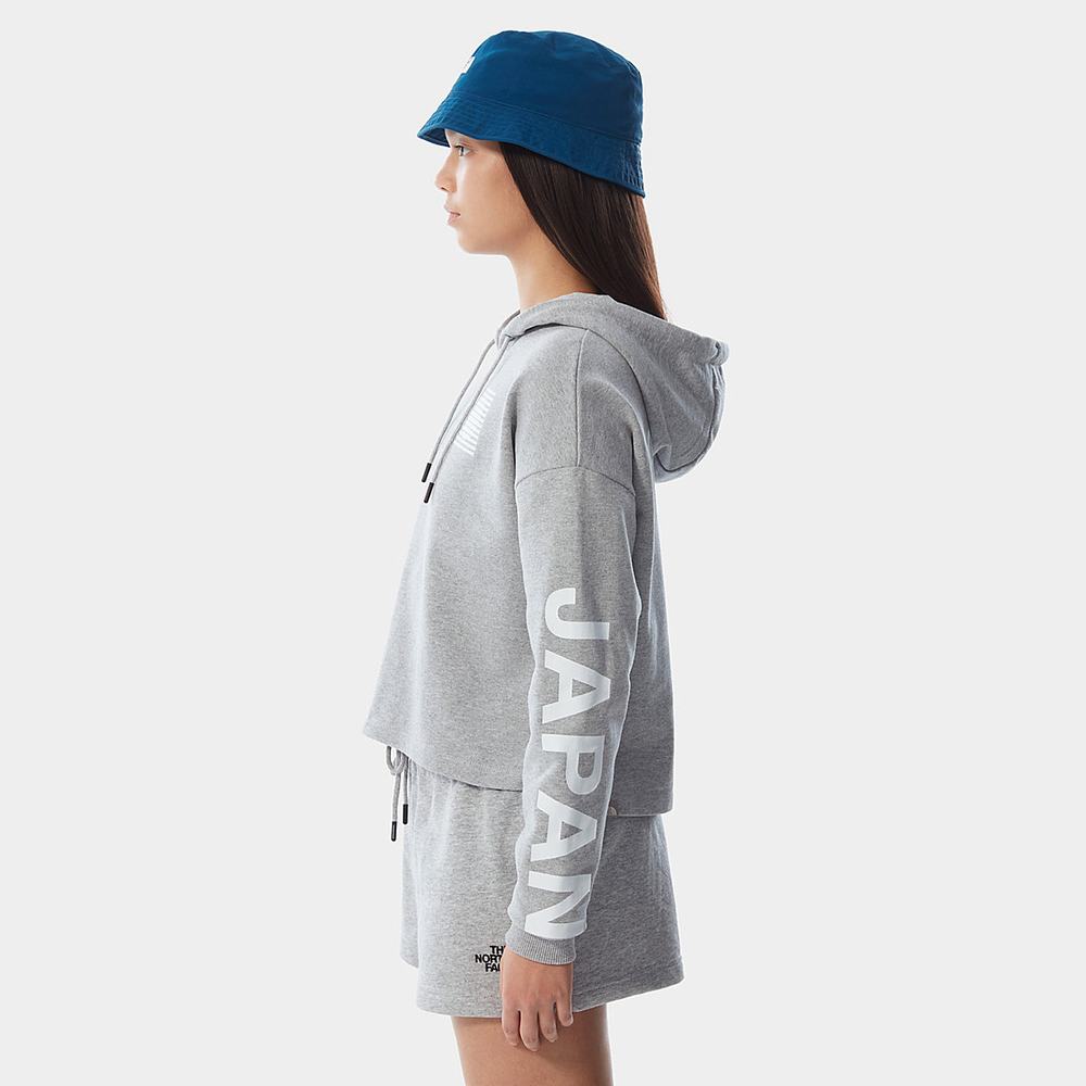 Mikiny S Kapucňou The North Face INTERNATIONAL COLLECTION Damske Svetlo Siva | IEV-049267