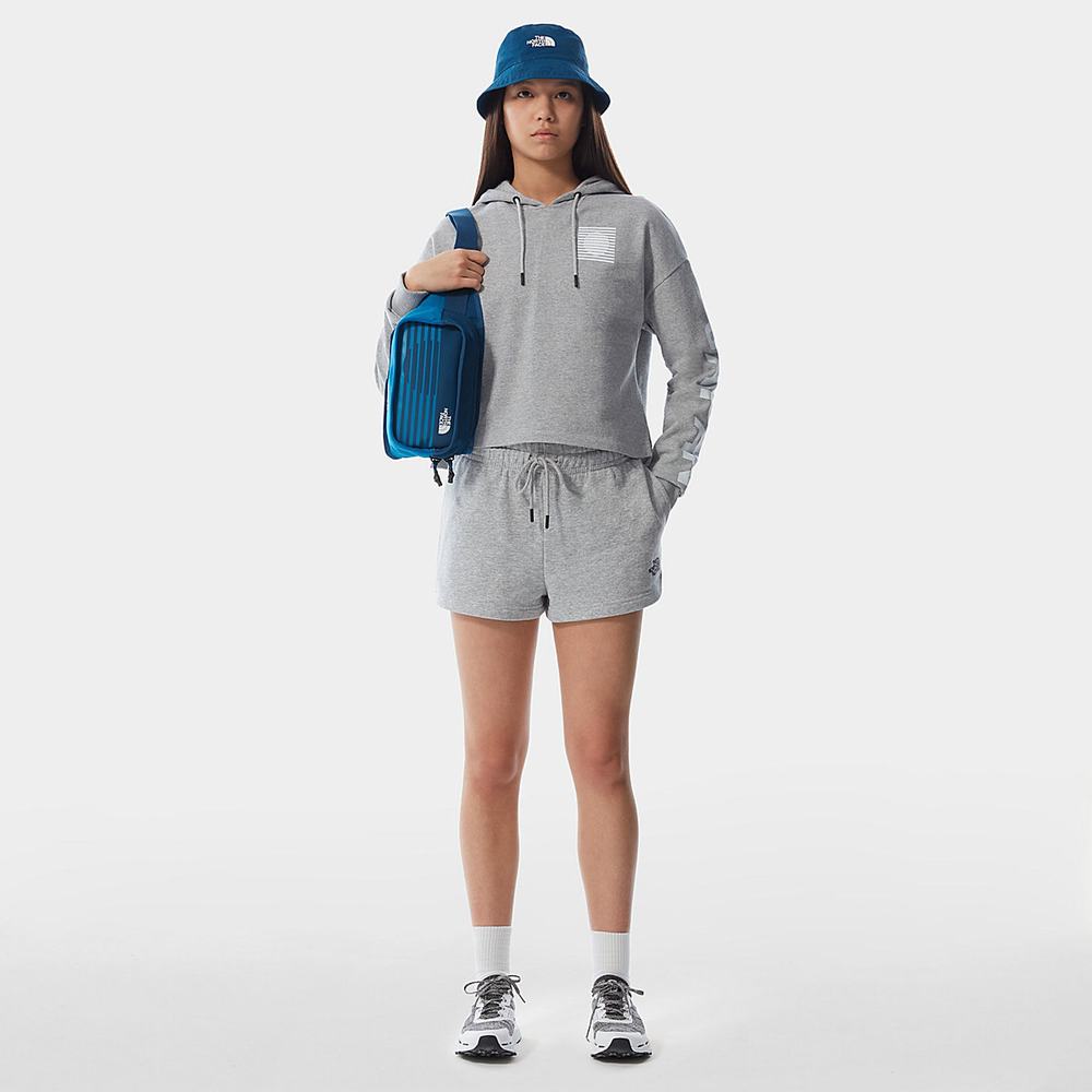 Mikiny S Kapucňou The North Face INTERNATIONAL COLLECTION Damske Svetlo Siva | IEV-049267