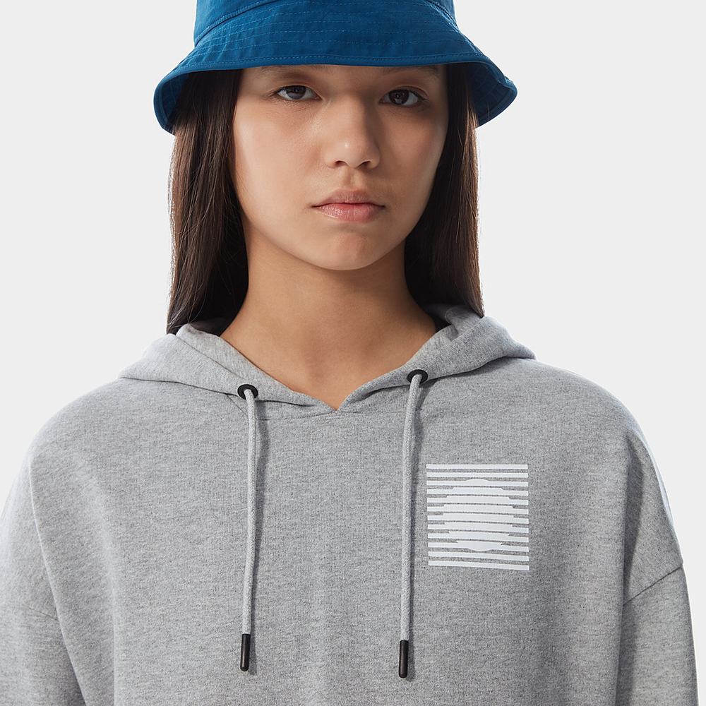 Mikiny S Kapucňou The North Face INTERNATIONAL COLLECTION Damske Svetlo Siva | IEV-049267