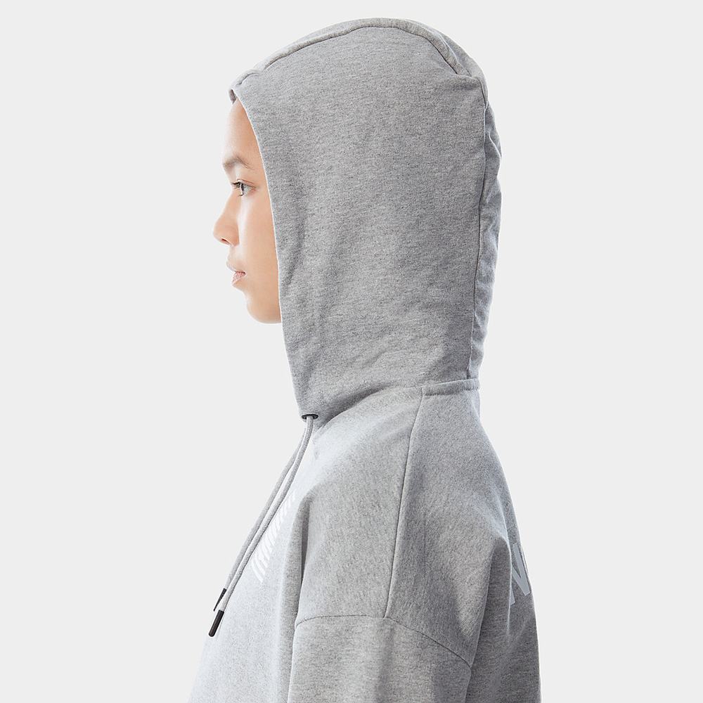 Mikiny S Kapucňou The North Face INTERNATIONAL COLLECTION Damske Svetlo Siva | IEV-049267
