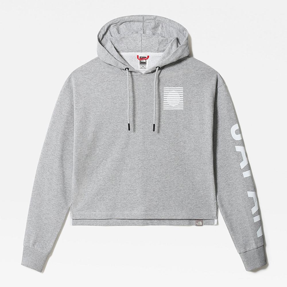 Mikiny S Kapucňou The North Face INTERNATIONAL COLLECTION Damske Svetlo Siva | IEV-049267