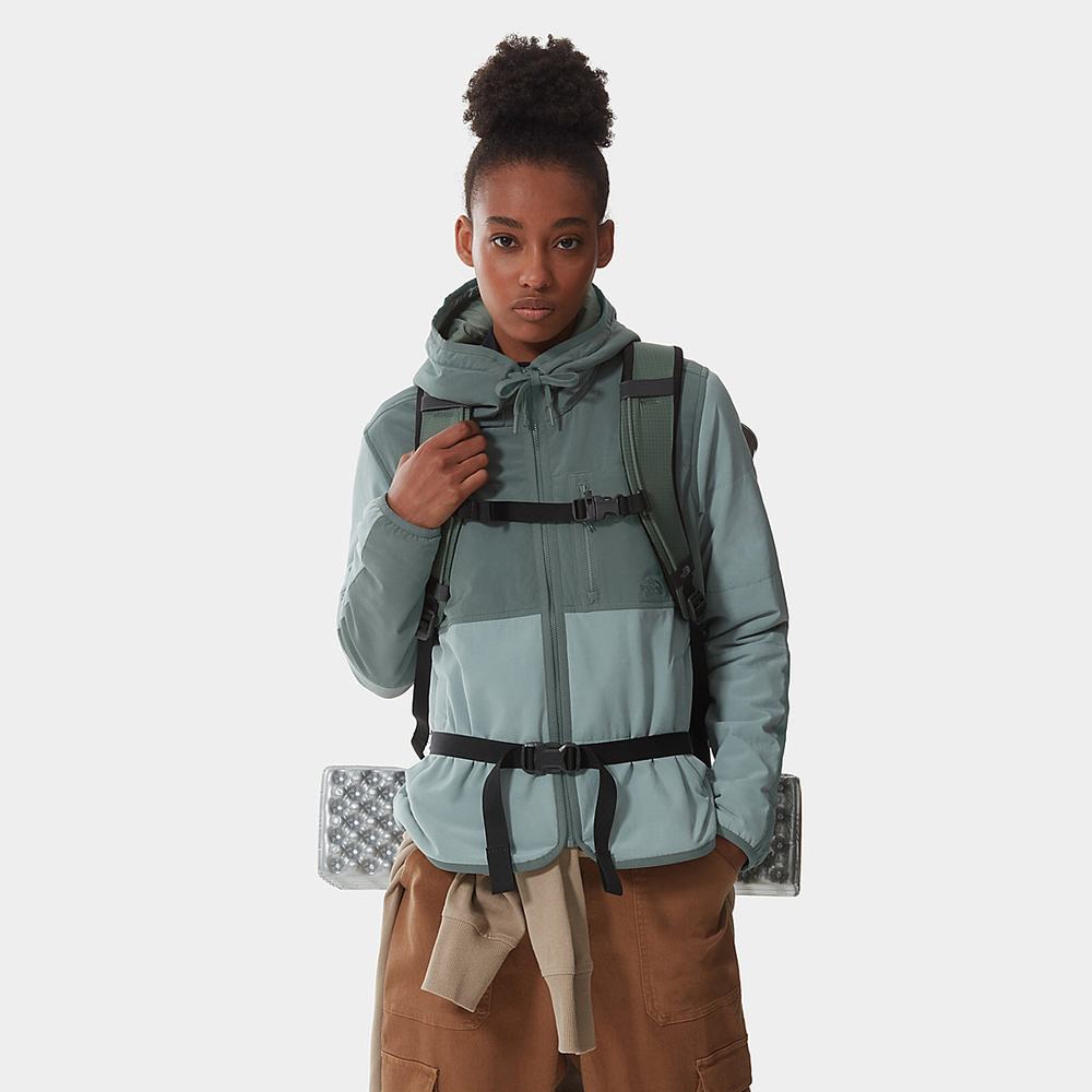Mikiny S Kapucňou The North Face Mountain Damske Strieborne Modre Zelene | TUI-230487