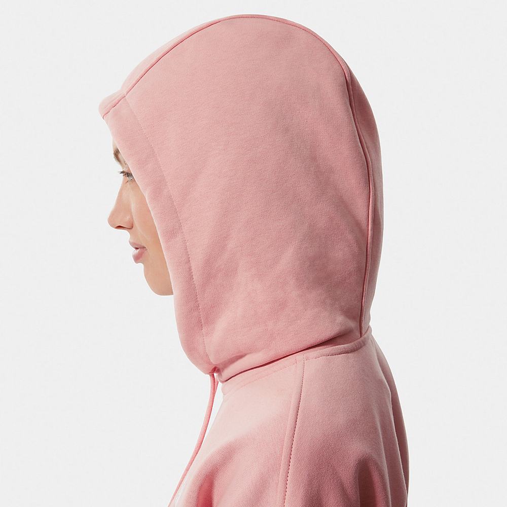 Mikiny S Kapucňou The North Face Oversized Essential Damske Ruzove Hnede | WHS-502318
