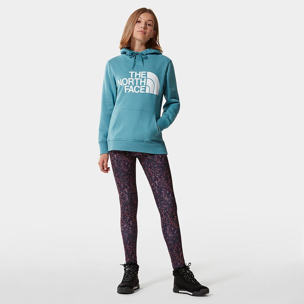 Mikiny S Kapucňou The North Face Standard Damske Modre | NML-632809