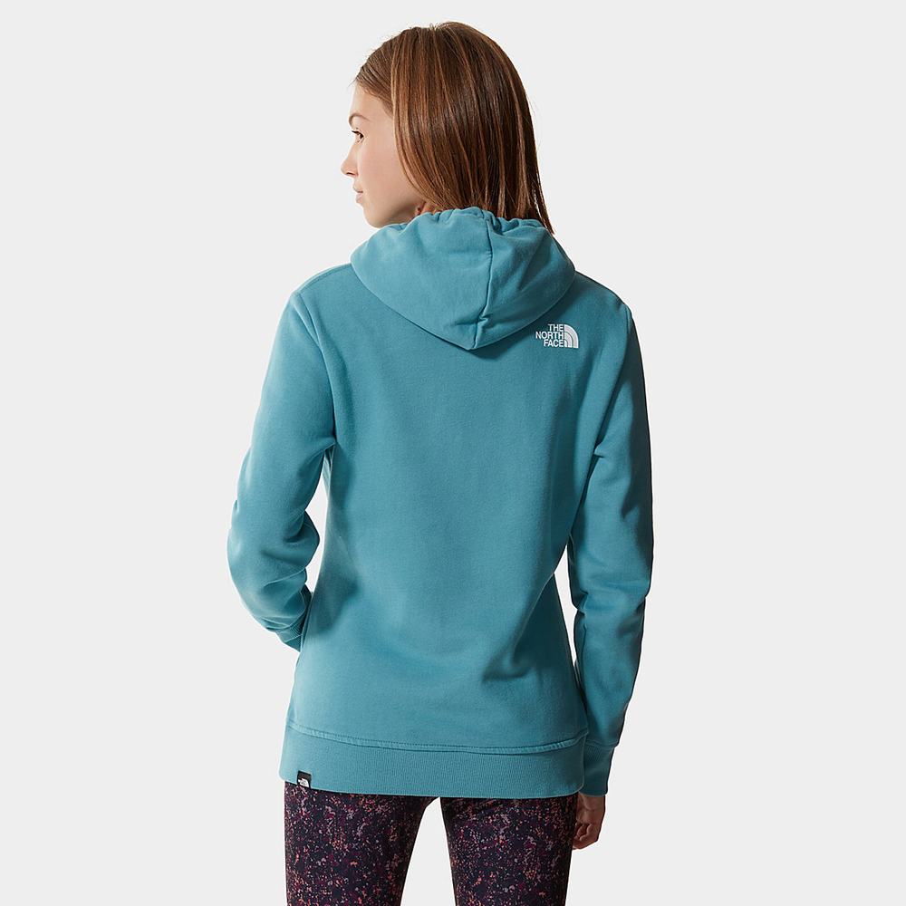 Mikiny S Kapucňou The North Face Standard Damske Modre | NML-632809