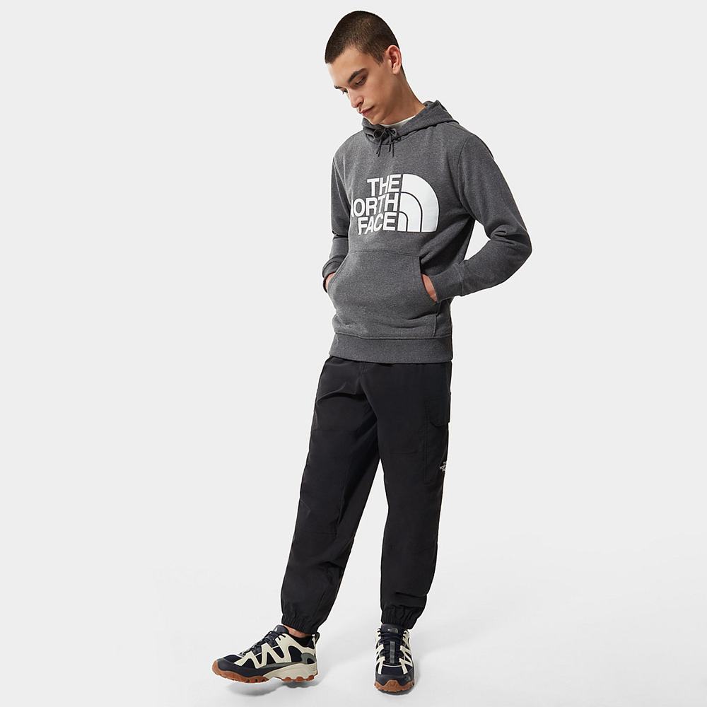 Mikiny S Kapucňou The North Face Standard Panske Siva | UCD-139807