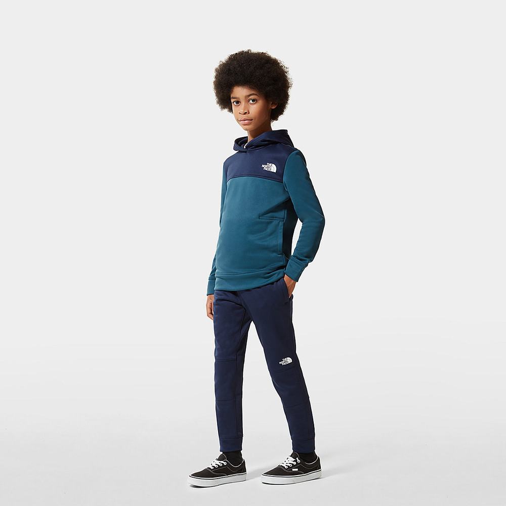 Mikiny S Kapucňou The North Face Surgent Chlapcenske Námornícka Modrá | JWG-138795