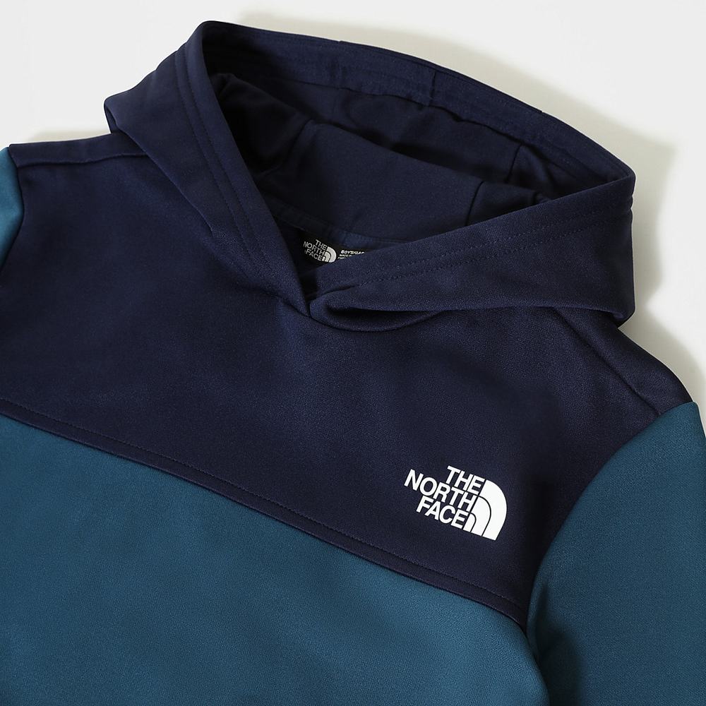 Mikiny S Kapucňou The North Face Surgent Chlapcenske Námornícka Modrá | JWG-138795