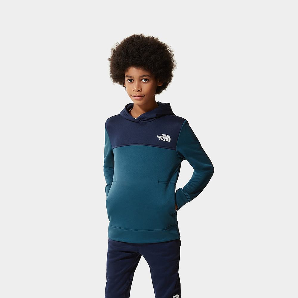 Mikiny S Kapucňou The North Face Surgent Chlapcenske Námornícka Modrá | JWG-138795
