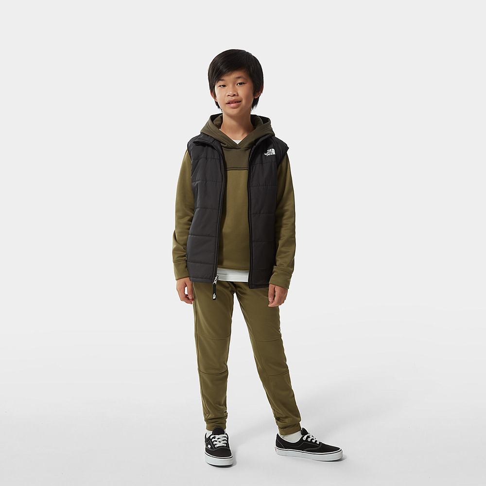 Mikiny S Kapucňou The North Face Surgent Chlapcenske Olivovo Zelená Zelene | UIH-352894
