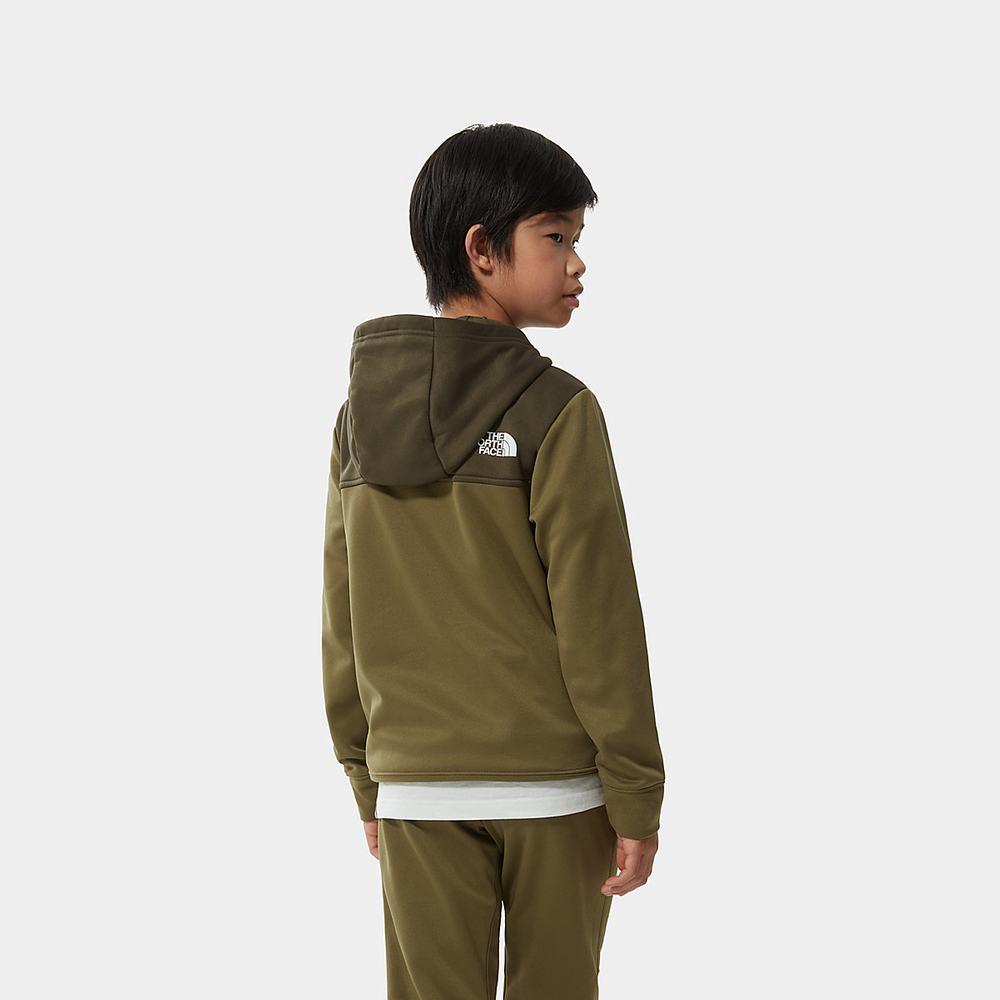 Mikiny S Kapucňou The North Face Surgent Chlapcenske Olivovo Zelená Zelene | UIH-352894