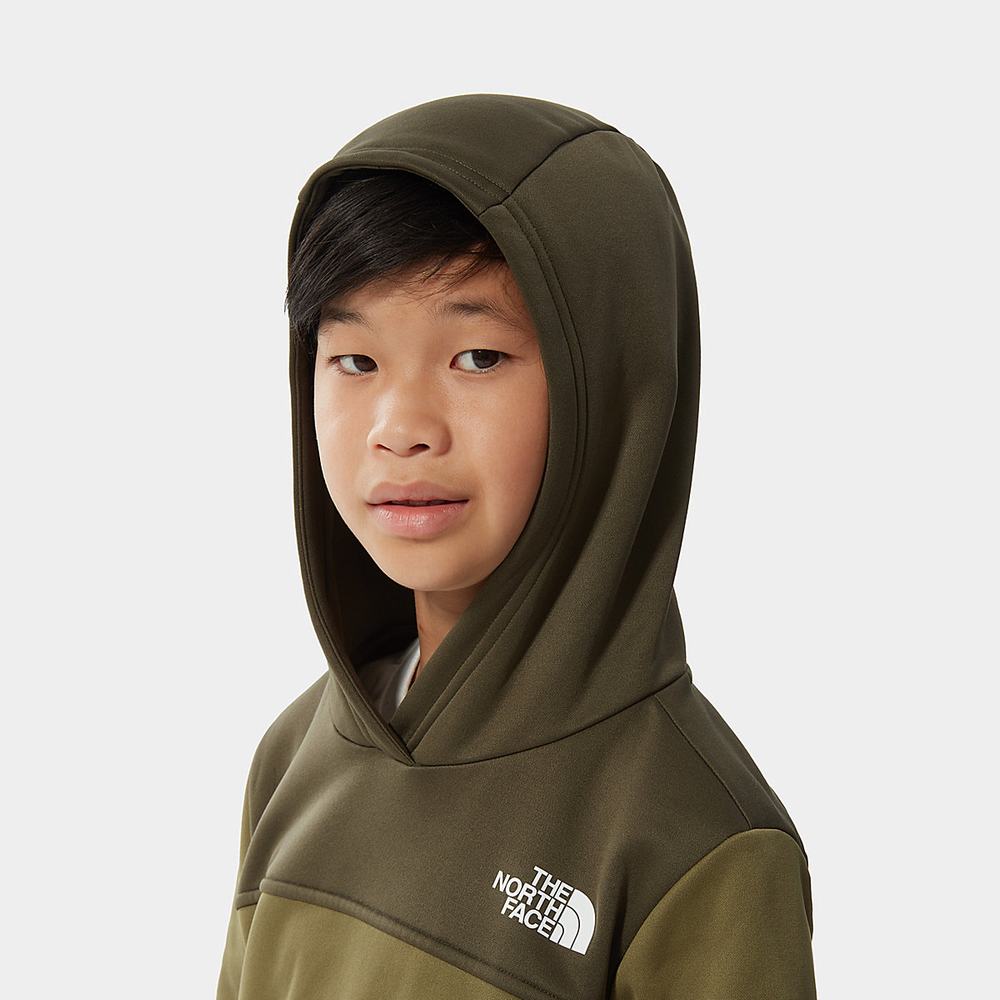 Mikiny S Kapucňou The North Face Surgent Chlapcenske Olivovo Zelená Zelene | UIH-352894