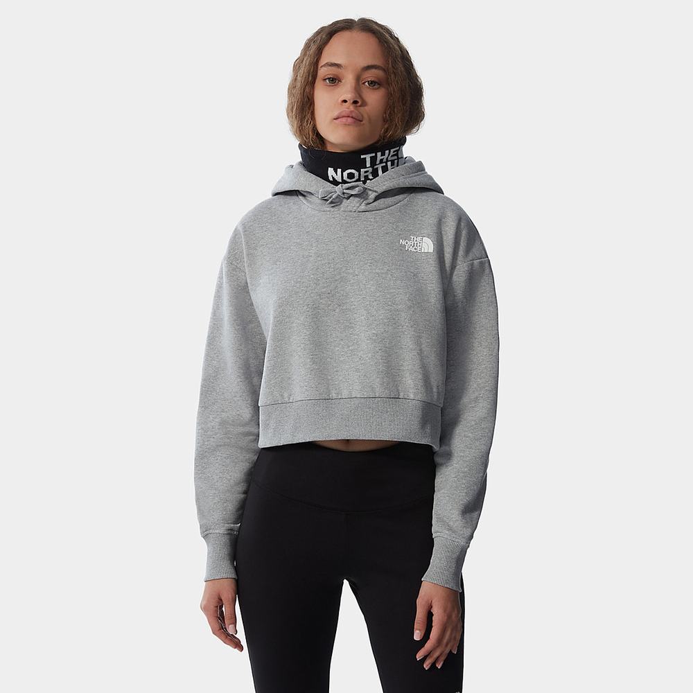 Mikiny S Kapucňou The North Face Trend Cropped Fleece Damske Svetlo Siva | FXI-971045