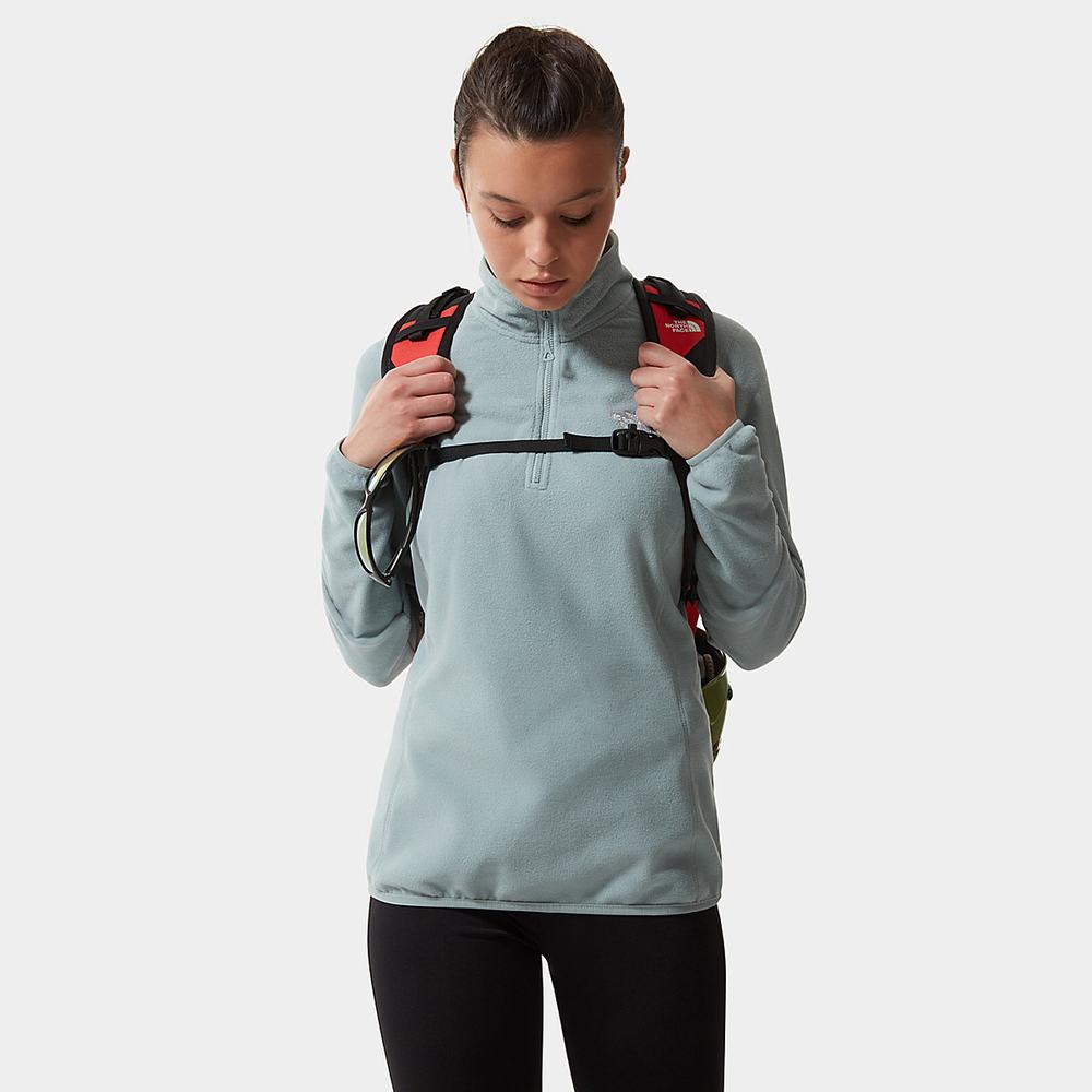 Mikiny The North Face 100 Glacier Quarter-Zip Fleece Damske Strieborne Modre | IVS-381904