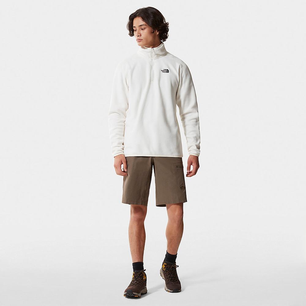 Mikiny The North Face 100 Glacier Quarter-Zip Fleece Panske Biele | KST-540278