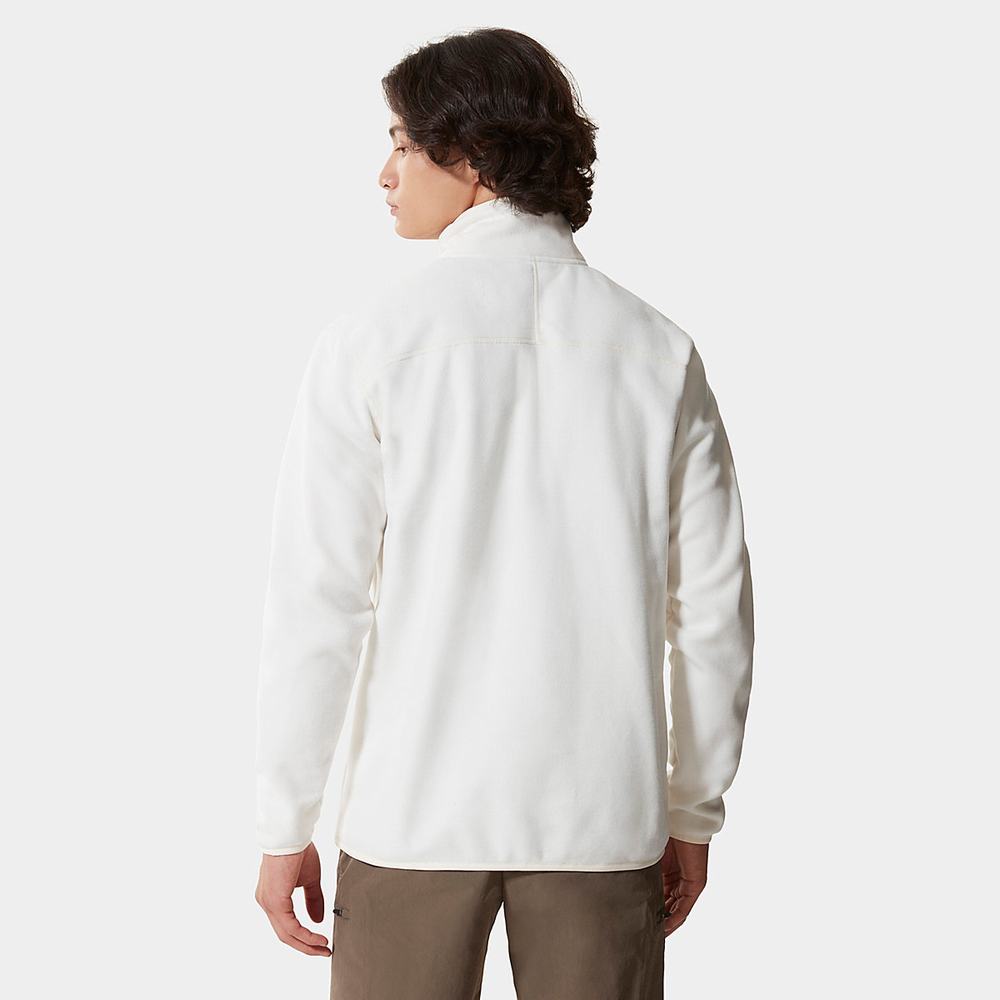 Mikiny The North Face 100 Glacier Quarter-Zip Fleece Panske Biele | KST-540278